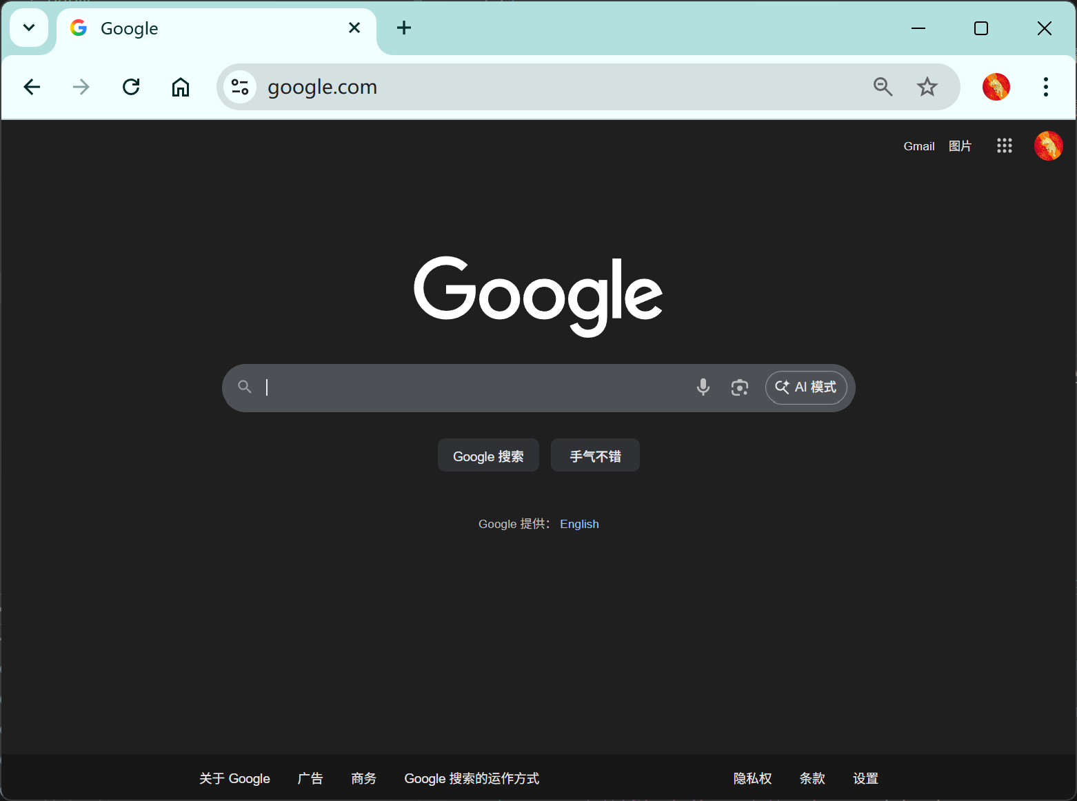 访问google网页